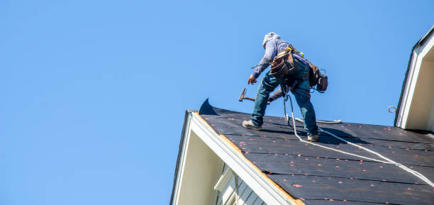 Best Roof Maintenance Services  in Smith Center, KS